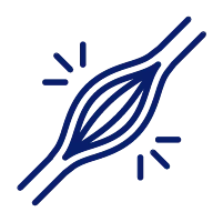 Enhance Muscle Function