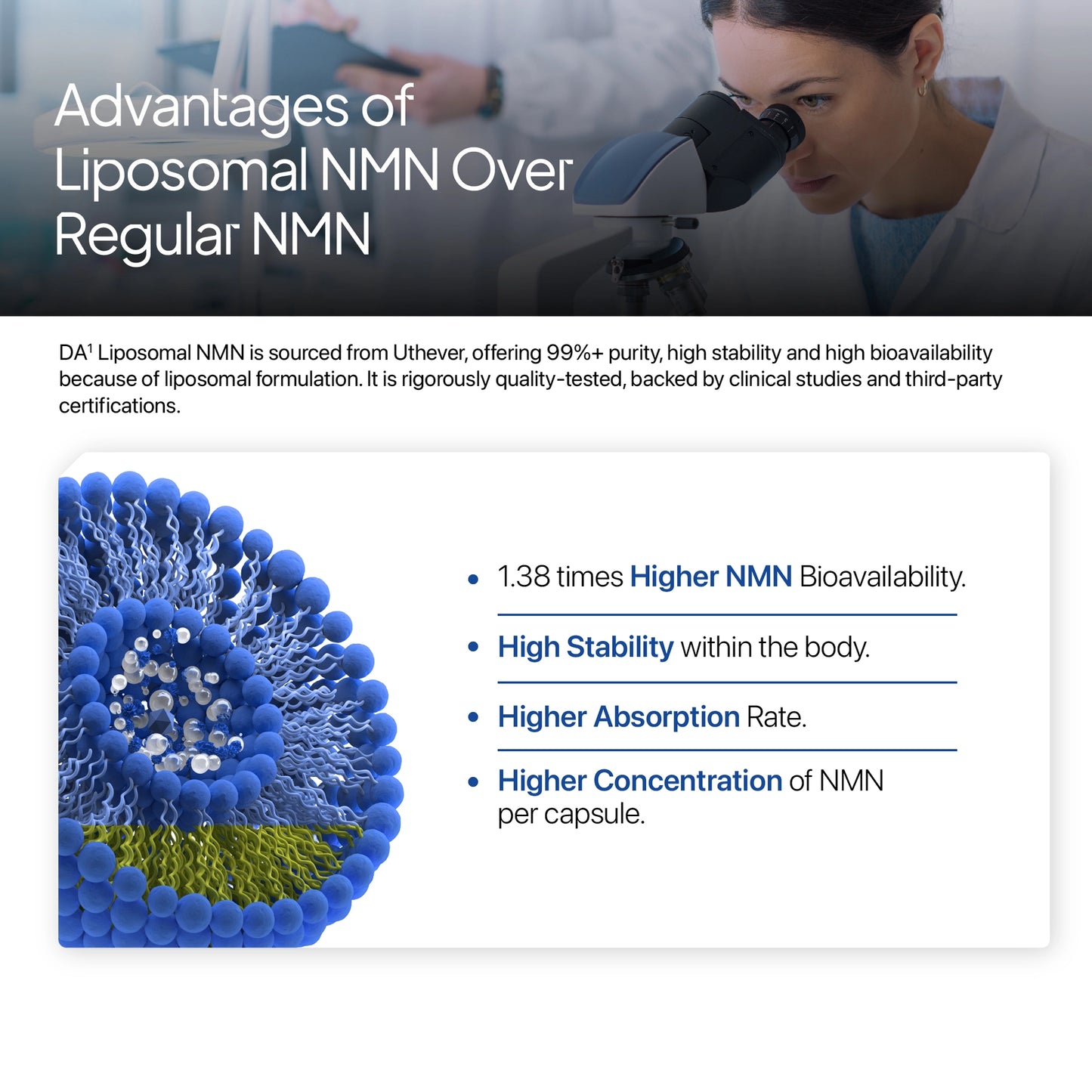 Liposomal NMN
