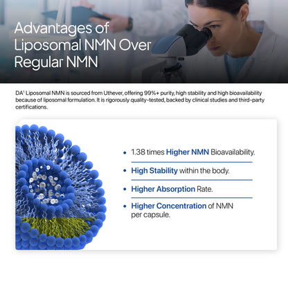 Liposomal NMN