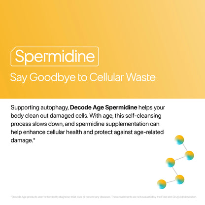 Spermidine
