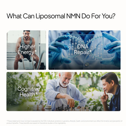 Liposomal NMN