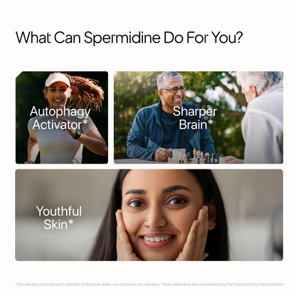 Spermidine