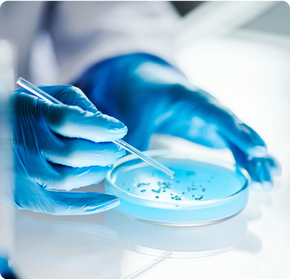 Microbiome Therapeutics
